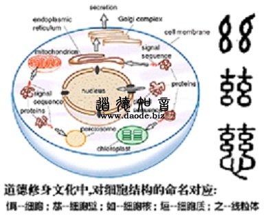 ʦ�ʽ�����ҳ����� �ʰ�ƪ